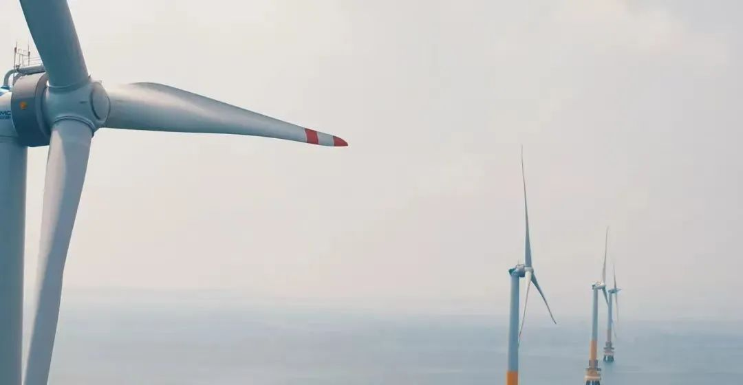 圖片3.png 圖片3.png